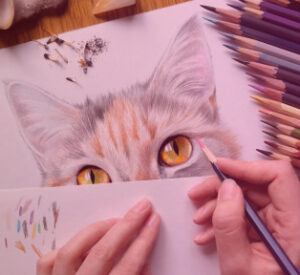 Colour Drawing